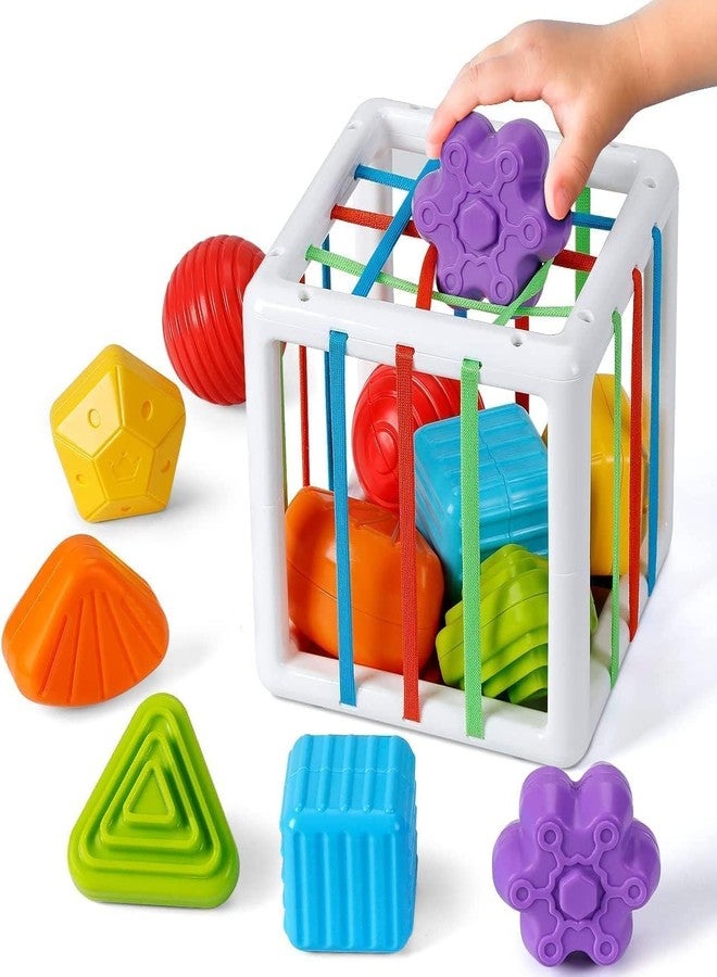 NIYANETAIL Baby Shape Sorting Toy, Colorful Elastic Bands Sensory Shape Sorter Bins with Balls & Blocks, Early Learning Preschool Educational Baby (14 Pcs Shape) (Shape Sorting Toy Set of 6) - Image 1